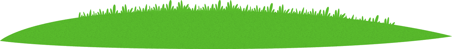 grass